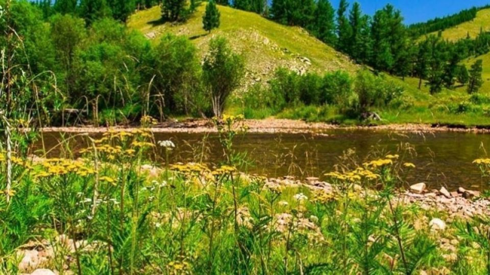 Ирэх зургаадугаар сарын цаг агаарын ерөнхий төлөв